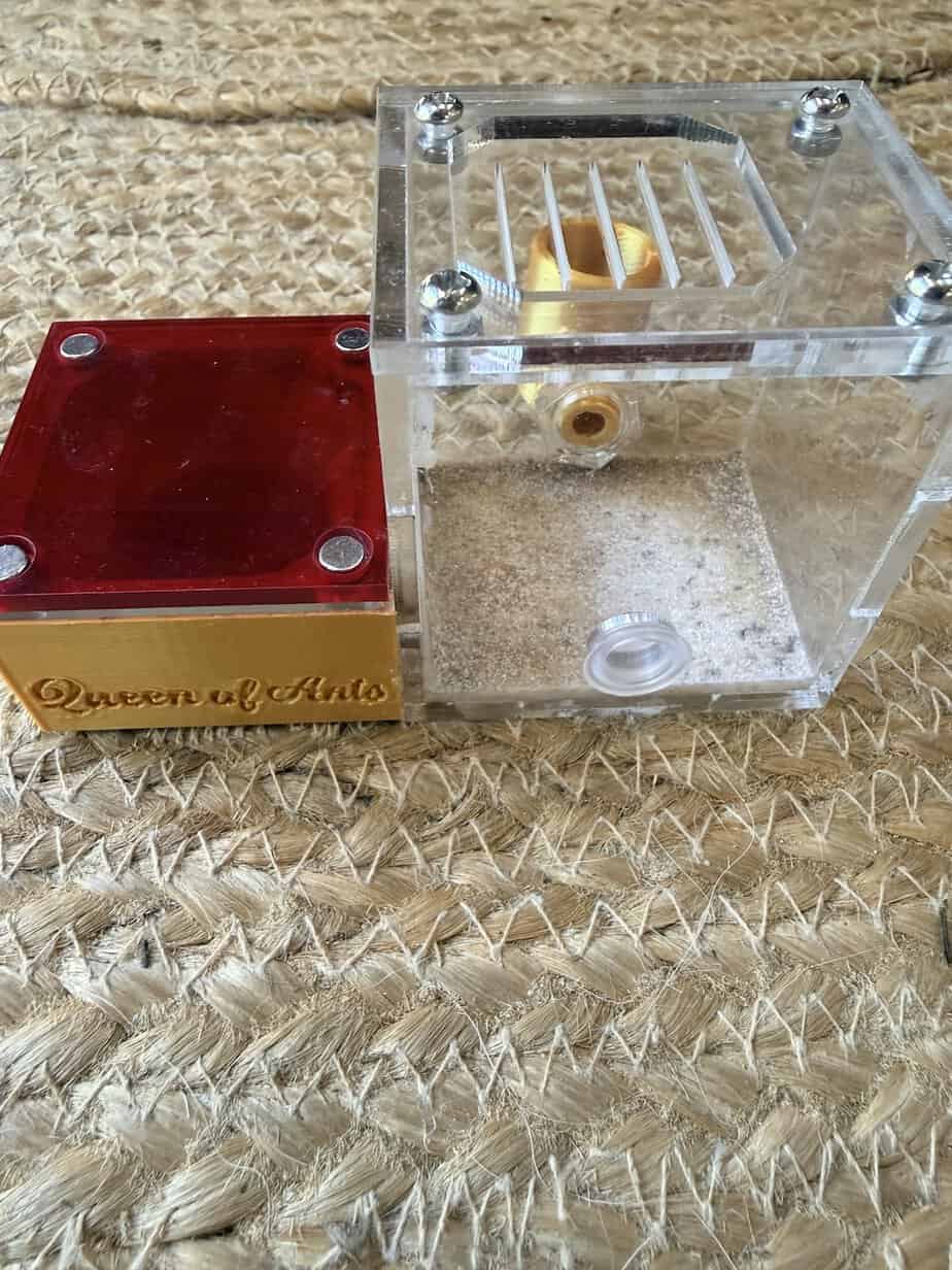 Tiny Home Queen Ant Nest Good Condition photo 1 of 4