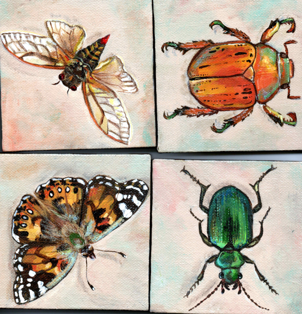 Trade Ants for Art!! photo 1 of 1