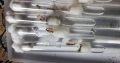 CHEAP!!! Ant Colonies for Sale – Camponotus, and Pheidole!