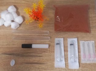 Ant Enclosures and Kit