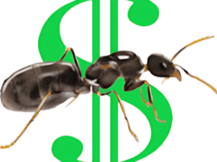 ALL ANT CO EQUIPMENT AND NESTS FOR SALE!!!