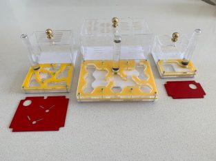 (UPDATED 12/02/2025) ALL MY PRODUCTS – ANT QUEENS/COLONIES, NESTS, EQUIPMENT!!!