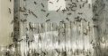 (RARE) Myrmecia Nigrocincta Colony 1 FULL QUEEN, 2 ERGATOID Queens, 275+ Workers!! (COMES WITH AN EXTRA LARGE HAND-MADE YTONG NEST)!! FREE Postage!