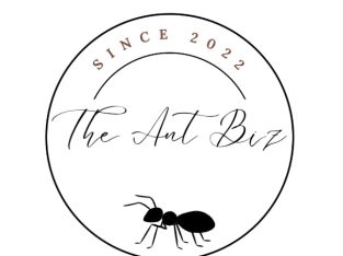UNCOMMON queen ants for sale! (Beginner)