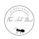 Cheap and affordable ant queens for sale!