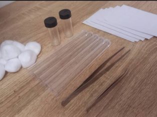 Queen Ant Hunting Kit