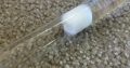 Crematogaster 3 queen colony for sale cheep