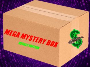 MEGA MYSTERY RESALE BOX! ONLY $80 Includes 5 Mystery Ant Queens + 25% Chance For EXTRA Queen With Your Order!