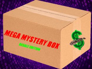MEGA MYSTERY RESALE BOX! ONLY $50 Includes 6 Mystery Ant Queens + 25% Chance For EXTRA Queen With Your Order!