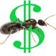 (UPDATED 01/03/2025) ALL MY PRODUCTS – ANT QUEENS/COLONIES, NESTS, EQUIPMENT!!!